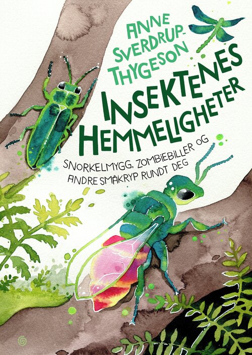 Cover of Beetles, bugs and butterflies