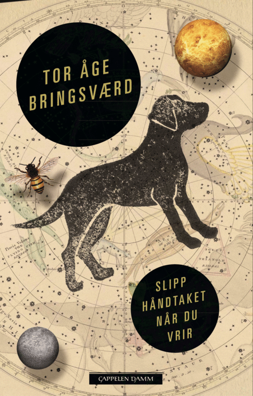 Cover of Release the Handle As You Turn