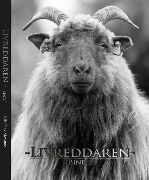 Cover of Saviour of Souls 