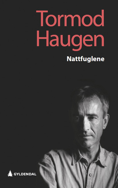 Cover of The Nightbirds