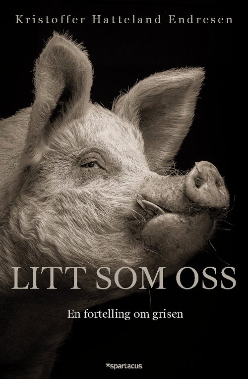 Cover of A little like us