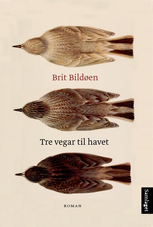 Cover of Three roads to the sea