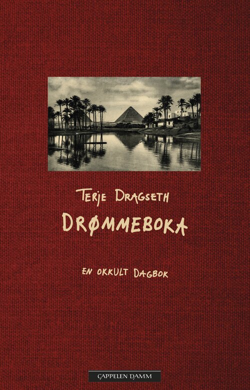 Cover of The dream book