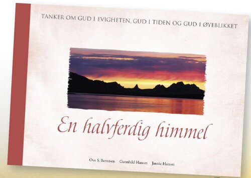 Cover of A Half-Completed Heaven