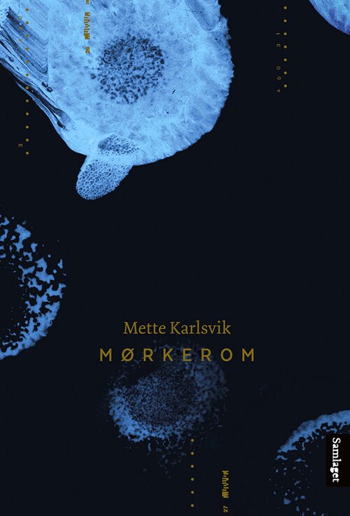 Cover of Darkroom