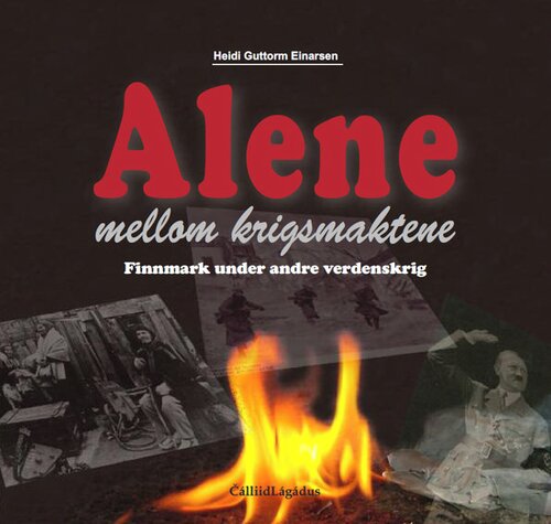 Cover of  Amidst warring powers