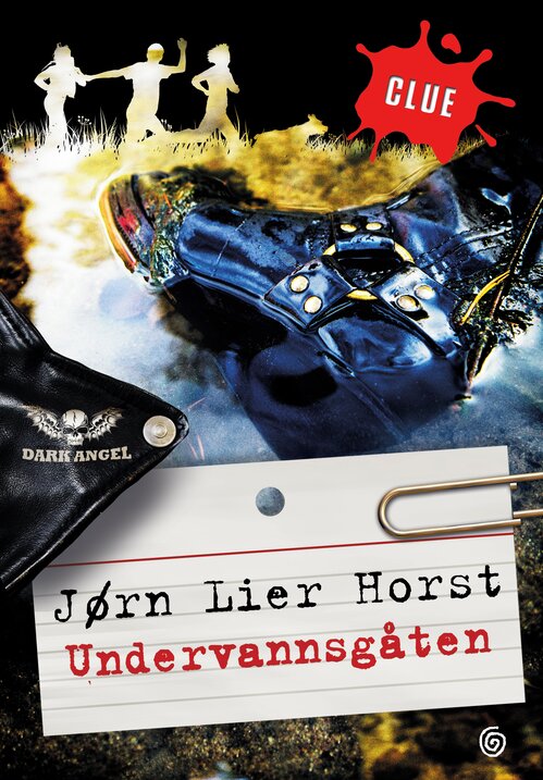 Cover of The Underwater Mystery