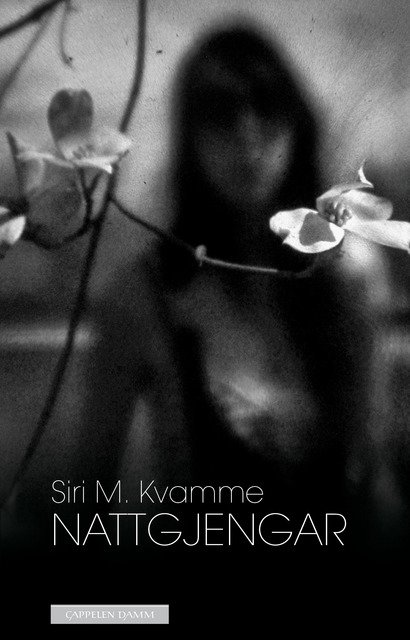 Cover of Ghosts in the Night 