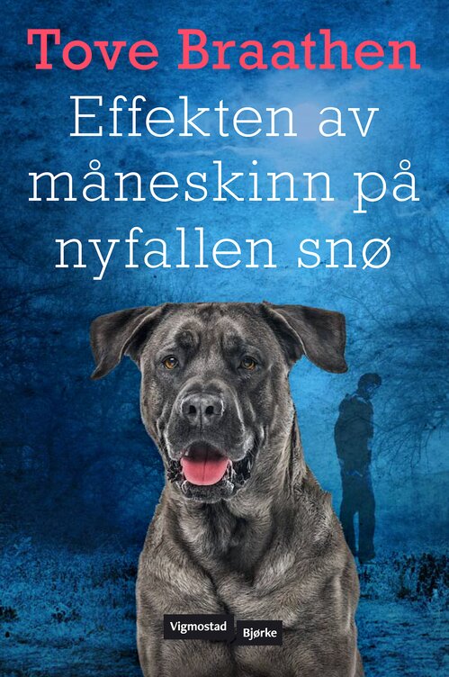 Cover of The Effect of Moonlight on the First Snow