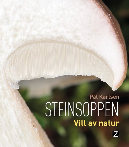 Cover of Porcini. Born to be Wild