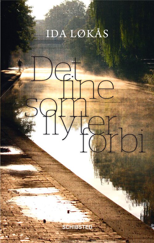 Cover of The beauty drifting by