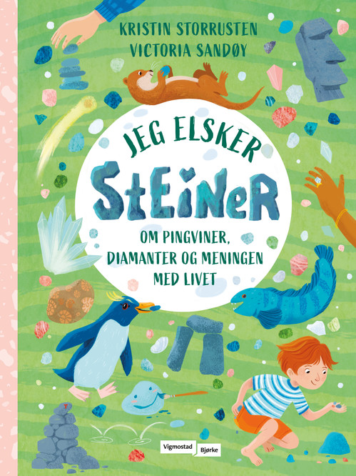 Cover of I Love Rocks