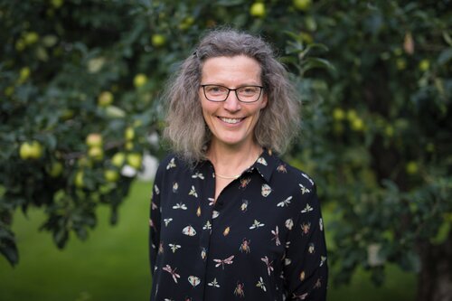 Anne Sverdrup-Thygeson, Bård Sletvold Torkildsen (ill.)