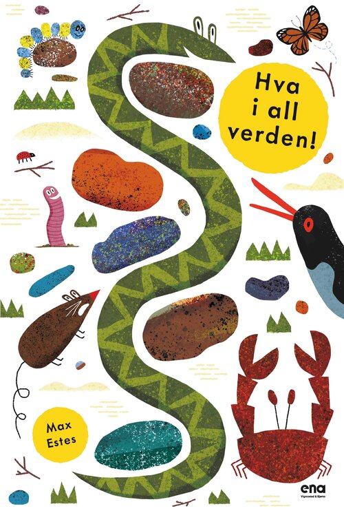 Cover of What in the world!