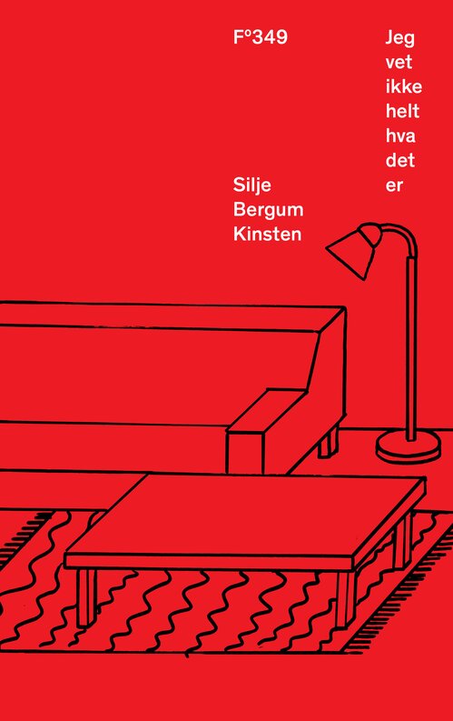 Cover of I don´t quite know what it is