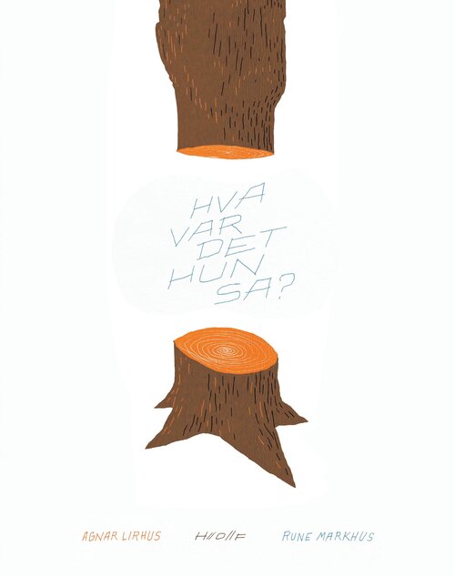 Cover of What did she say?