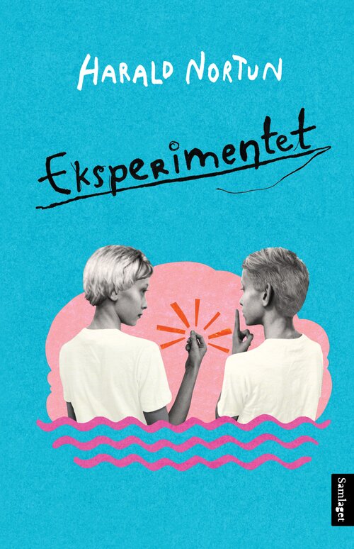 Cover of The Experiment